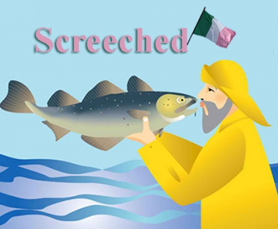 Newfoundland Screechers | Screecher View